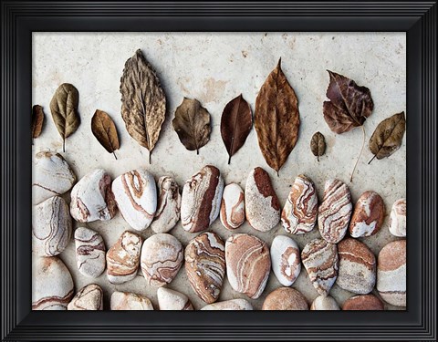 Framed Gifts of the Earth II Print