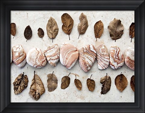 Framed Gifts of the Earth III Print