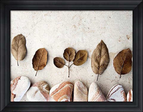 Framed Gifts of the Earth IV Print