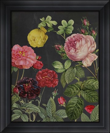 Framed Redoute&#39;s Bouquet II Print