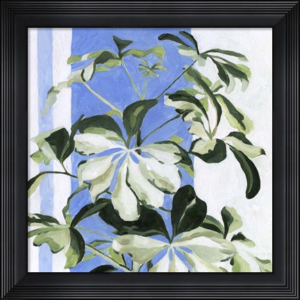 Framed Indoor Plant II Print