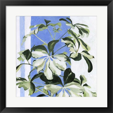 Framed Indoor Plant II Print