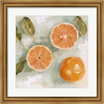 Framed Fresh Citrus II Print
