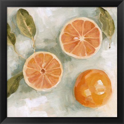 Framed Fresh Citrus III Print