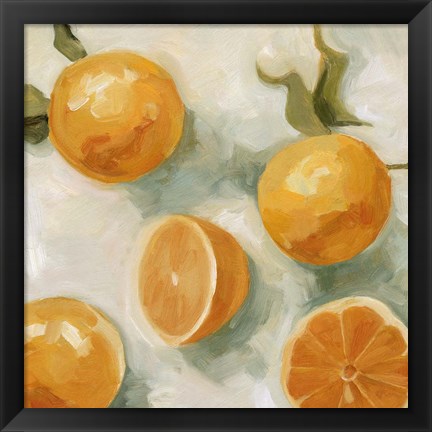 Framed Fresh Citrus IV Print