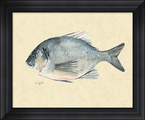 Framed Catch of the Day I Print
