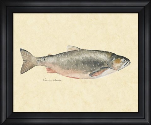 Framed Catch of the Day II Print