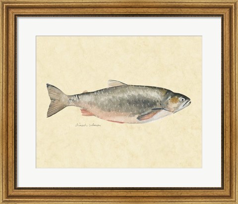 Framed Catch of the Day II Print