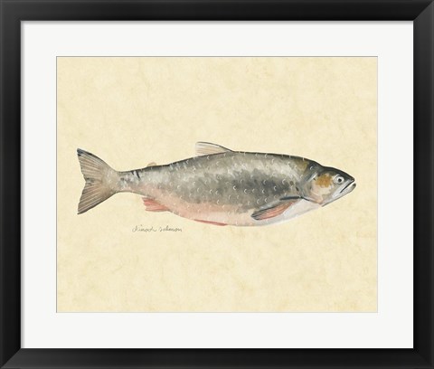 Framed Catch of the Day II Print
