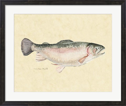 Framed Catch of the Day III Print