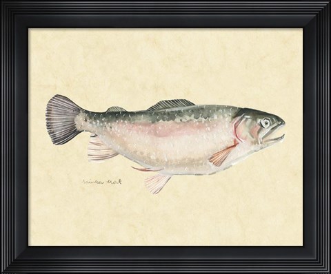 Framed Catch of the Day III Print