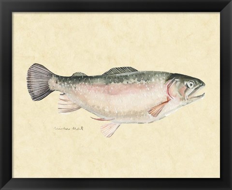 Framed Catch of the Day III Print