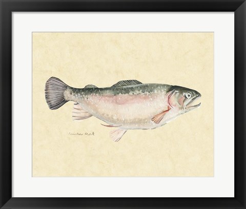 Framed Catch of the Day III Print