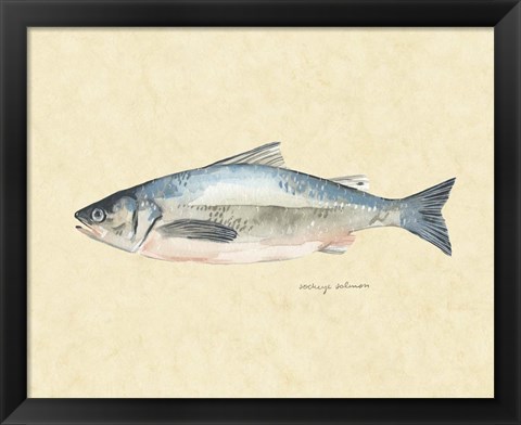 Framed Catch of the Day IV Print