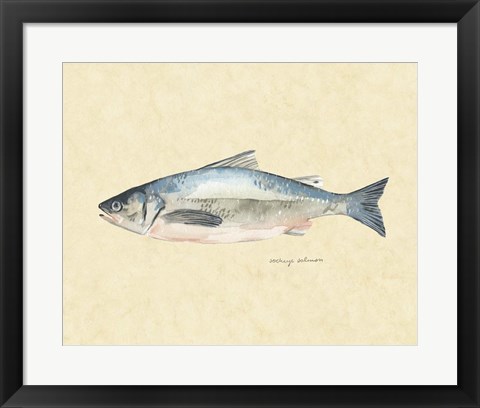 Framed Catch of the Day IV Print