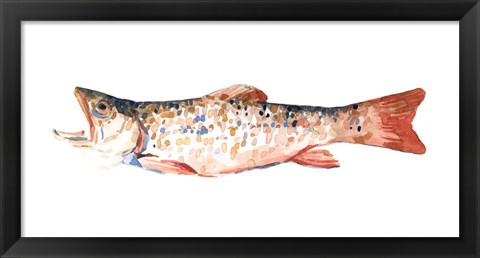 Framed Freckled Trout I Print