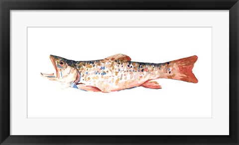 Framed Freckled Trout I Print