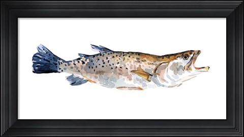 Framed Freckled Trout II Print