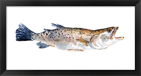 Framed Freckled Trout II Print