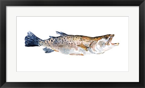 Framed Freckled Trout II Print