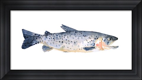 Framed Freckled Trout IV Print