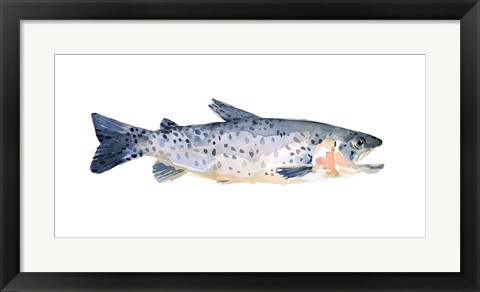 Framed Freckled Trout IV Print