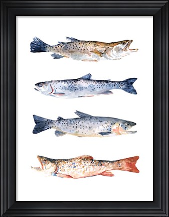 Framed Stacked Trout I Print