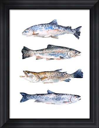 Framed Stacked Trout II Print