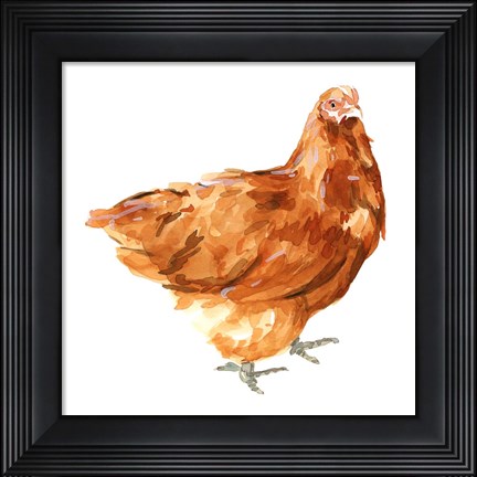Framed Wild Chicken I Print
