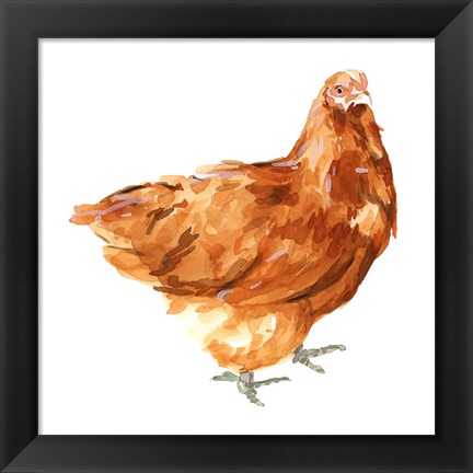 Framed Wild Chicken I Print