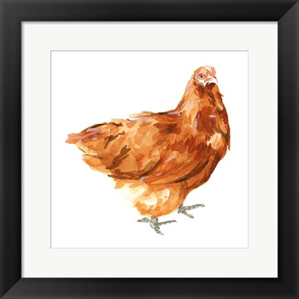 Framed Wild Chicken I Print