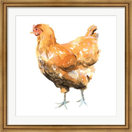 Framed Wild Chicken II Print