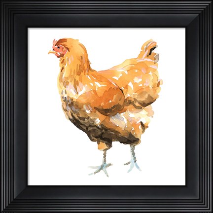 Framed Wild Chicken II Print
