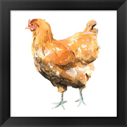 Framed Wild Chicken II Print