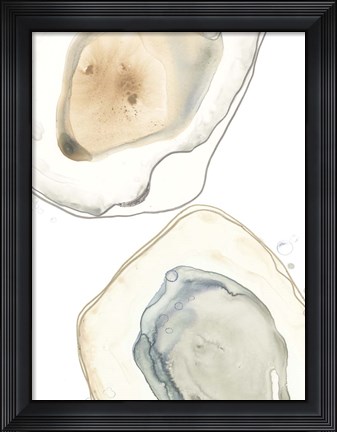 Framed Ocean Oysters III Print
