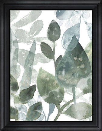 Framed Aquatic Leaves I Print