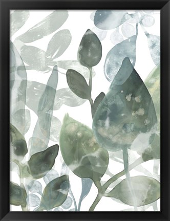 Framed Aquatic Leaves I Print