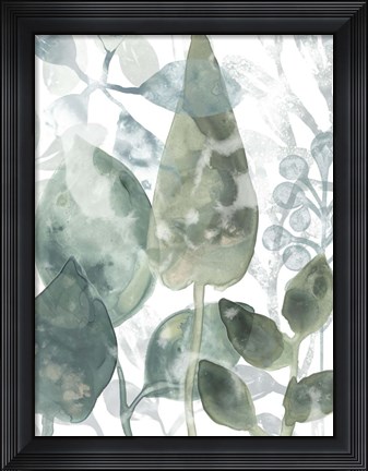 Framed Aquatic Leaves II Print