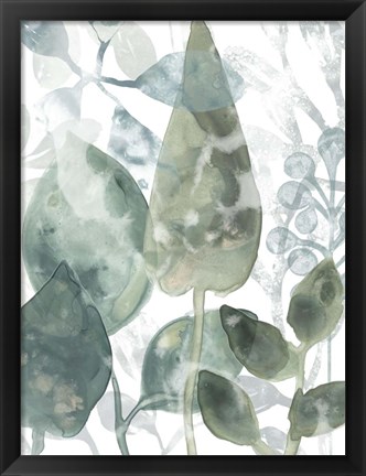 Framed Aquatic Leaves II Print