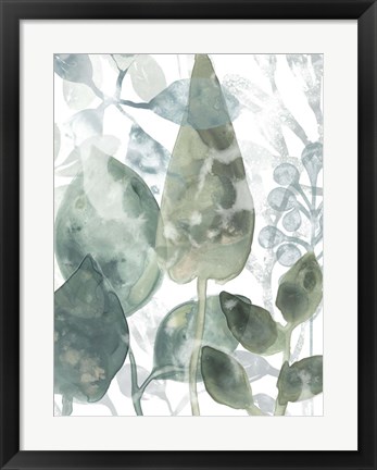 Framed Aquatic Leaves II Print