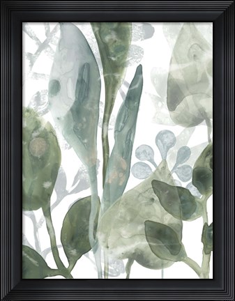 Framed Aquatic Leaves III Print