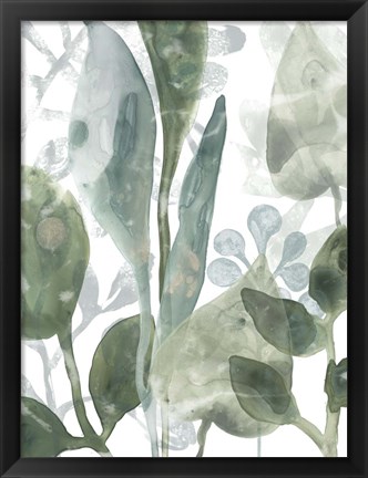 Framed Aquatic Leaves III Print