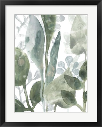 Framed Aquatic Leaves III Print
