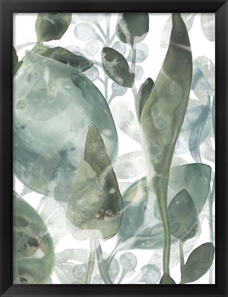 Framed Aquatic Leaves IV Print