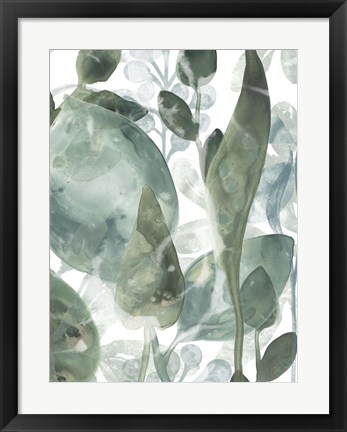 Framed Aquatic Leaves IV Print