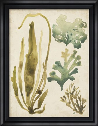 Framed Vintage Sea Fronds III Print