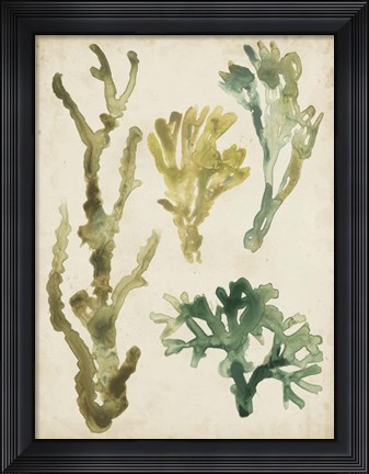 Framed Vintage Sea Fronds V Print