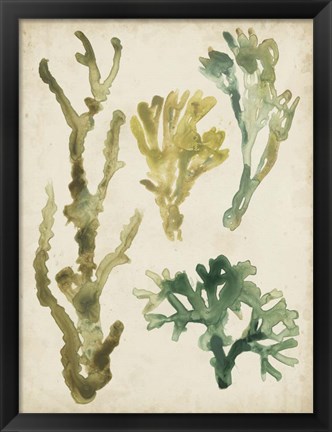 Framed Vintage Sea Fronds V Print