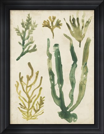 Framed Vintage Sea Fronds VI Print