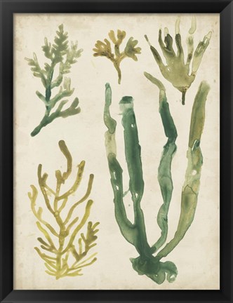 Framed Vintage Sea Fronds VI Print